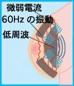 �˥塼�����ȥ����˥���II