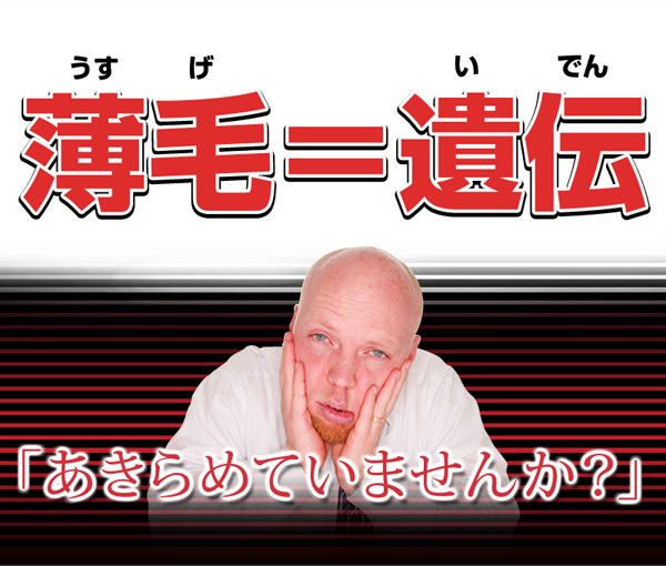 ��p��э܂i-203