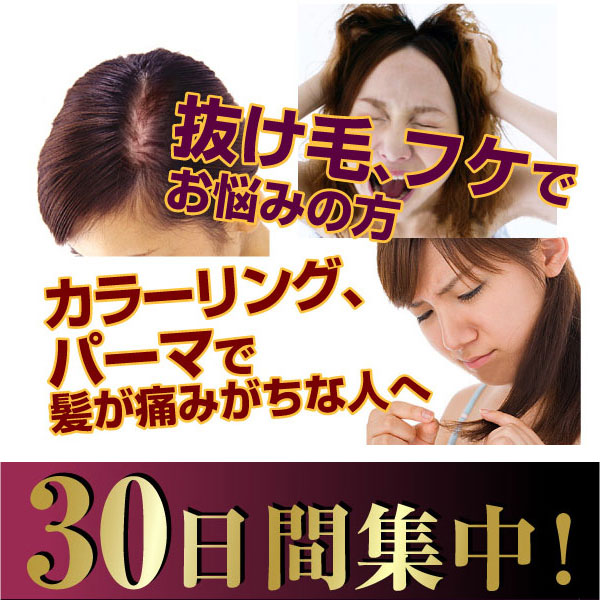 SUUEN22���ꥨ�󥿥륹�ࡼ���������С�