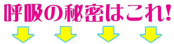 �Ƶۤ���̩�Ϥ��졪