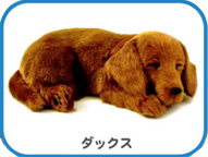 �ѡ��ե����ȥڥå� Perfect Petzzz�����å���