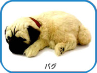 �ѡ��ե����ȥڥå� Perfect Petzzz���ѥ�