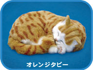 �ѡ��ե����ȥڥå� Perfect Petzzz������󥸥��ӡ�