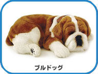 �ѡ��ե����ȥڥå� Perfect Petzzz���֥�ɥå�