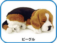 �ѡ��ե����ȥڥå� Perfect Petzzz���ӡ�����