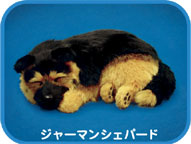 �ѡ��ե����ȥڥå� Perfect Petzzz�����㡼�ޥ󥷥��ѡ���