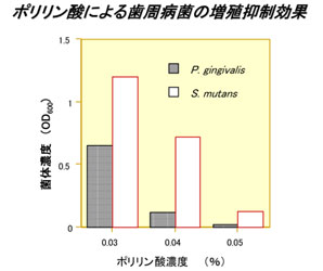 薬用 デンタルホワイトプロ