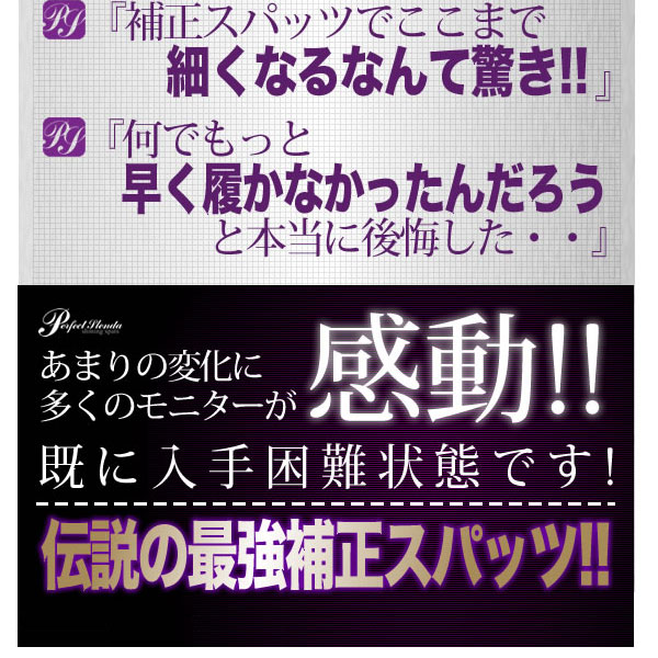 �p�[�t�F�N�g�X�����_