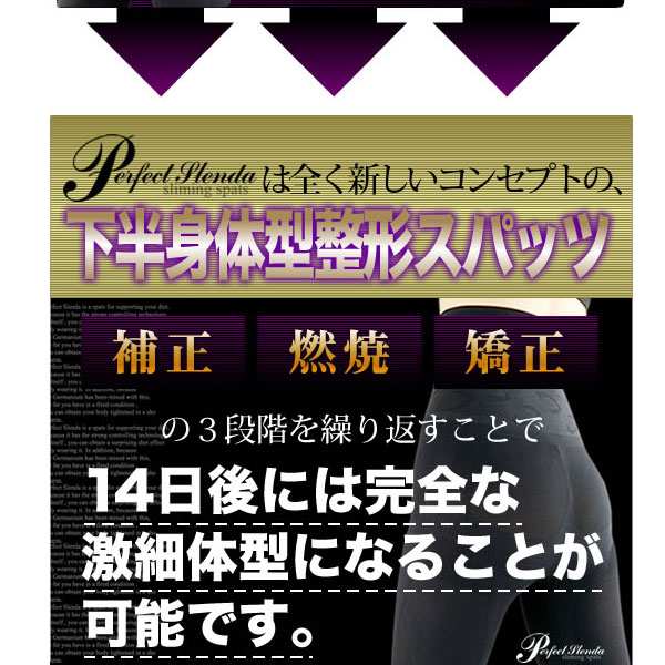 �p�[�t�F�N�g�X�����_