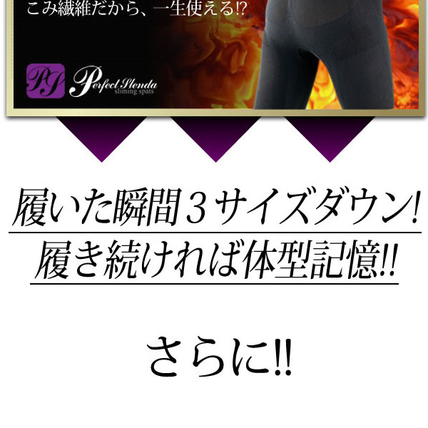 �p�[�t�F�N�g�X�����_