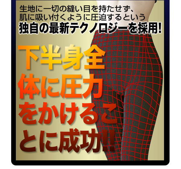 �i�C�g�X�����_