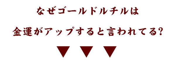 最高級AAAAA針水晶ワンタイガーブレス