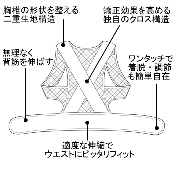 中山式脊椎医学キョウセイベルト