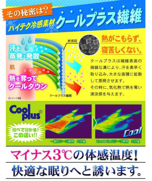 Eco��Cool�V�[�c