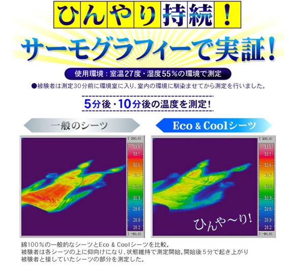 Eco��Cool�V�[�c