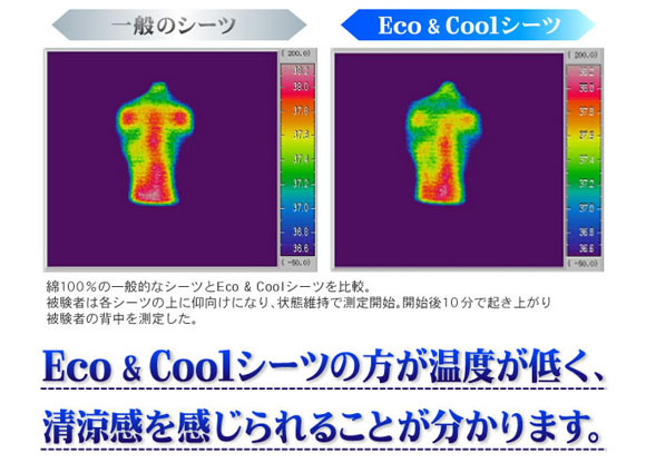 Eco��Cool�V�[�c