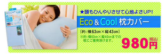 Eco��Cool�V�[�c