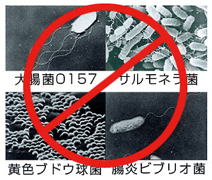 高温スチームの除菌能力