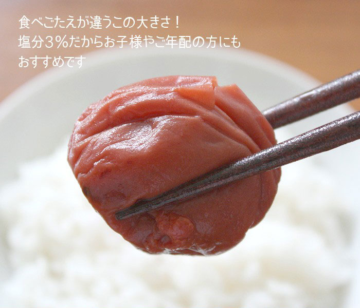 【お試し400g】減塩 紀州産 南高梅 つぶれ梅 しそ漬け