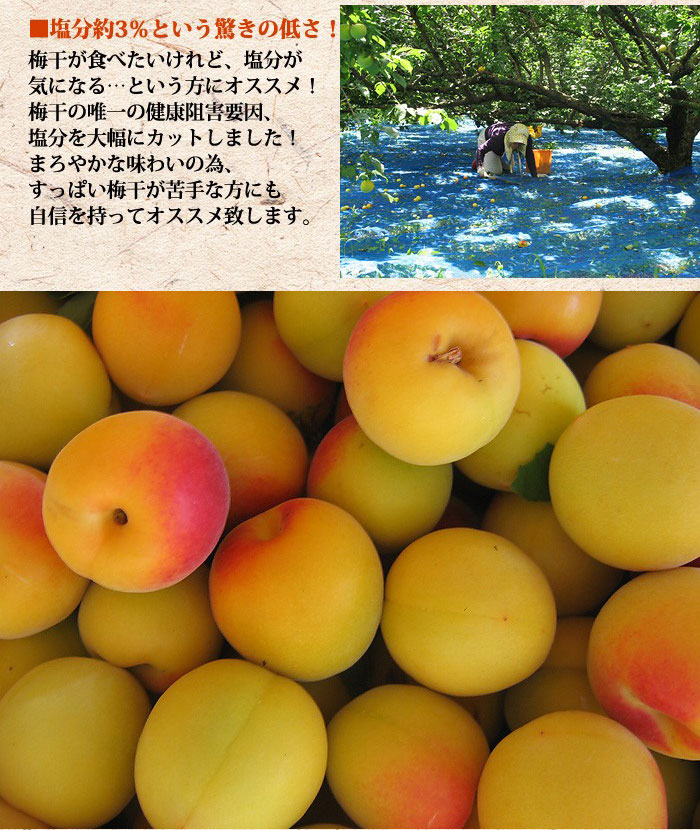【お試し400g】減塩 紀州産 南高梅 つぶれ梅 しそ漬け