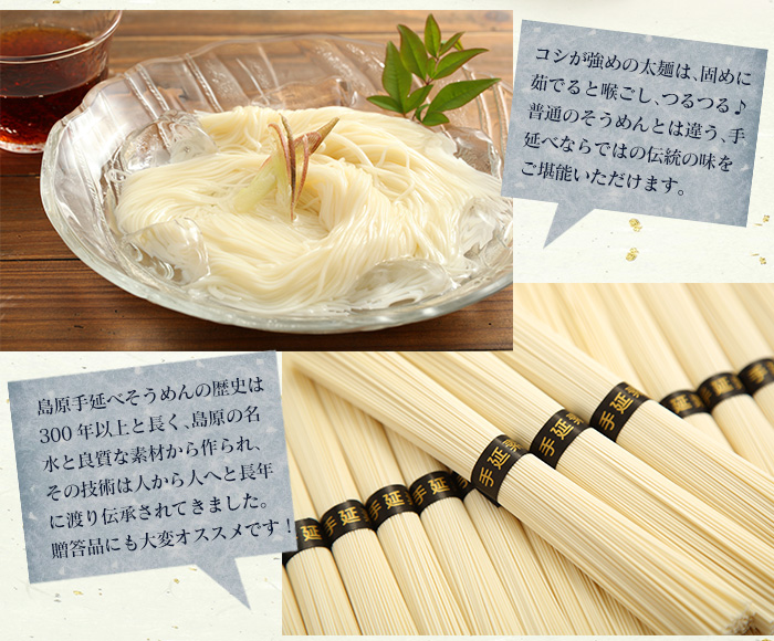 島原手延べそうめん SG-40 【新聞掲載】