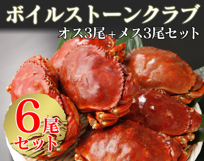 ボイルストーンクラブ