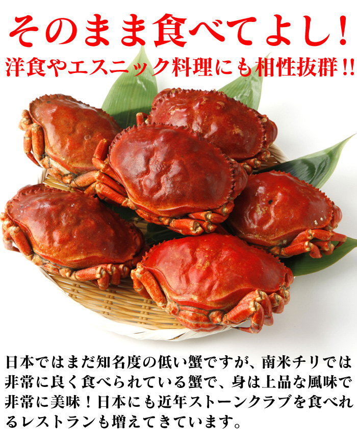 ボイルストーンクラブ