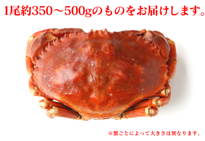 ボイルストーンクラブ