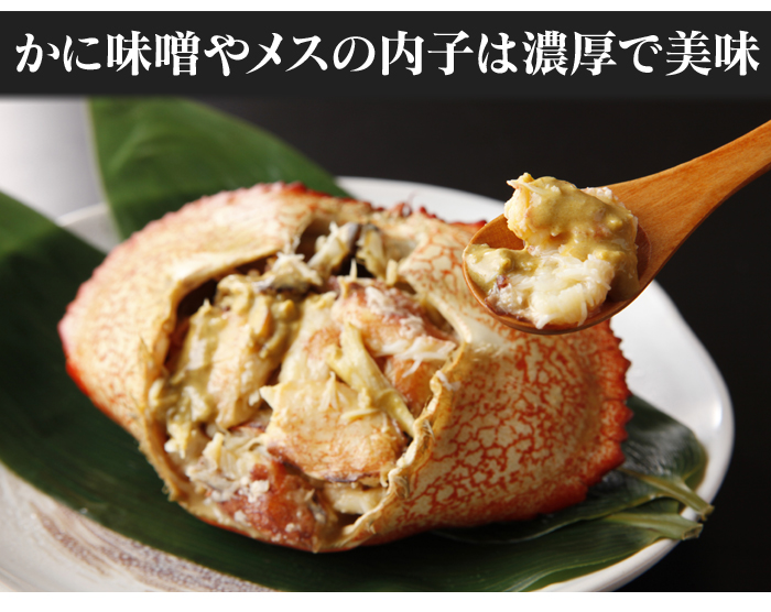 ボイルストーンクラブ