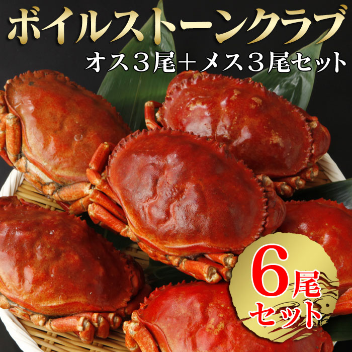 ボイルストーンクラブ