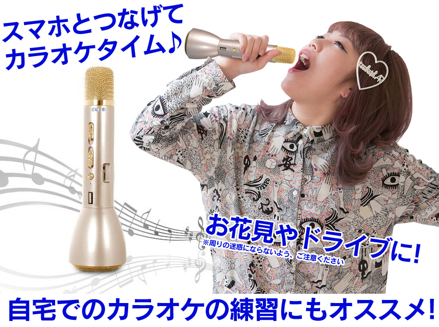 カラオケマイク ザ・歌謡名人 2本組