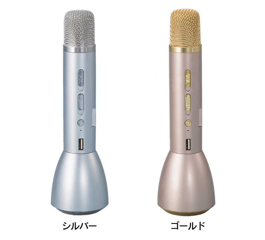 カラオケマイク ザ・歌謡名人 2本組