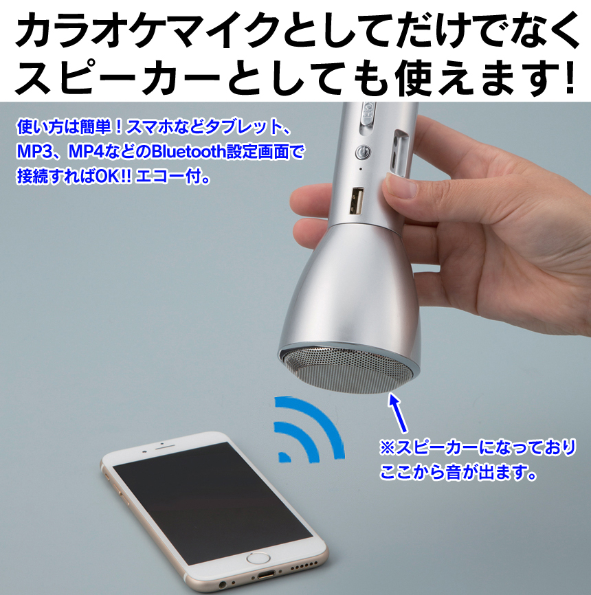 カラオケマイク ザ・歌謡名人 2本組