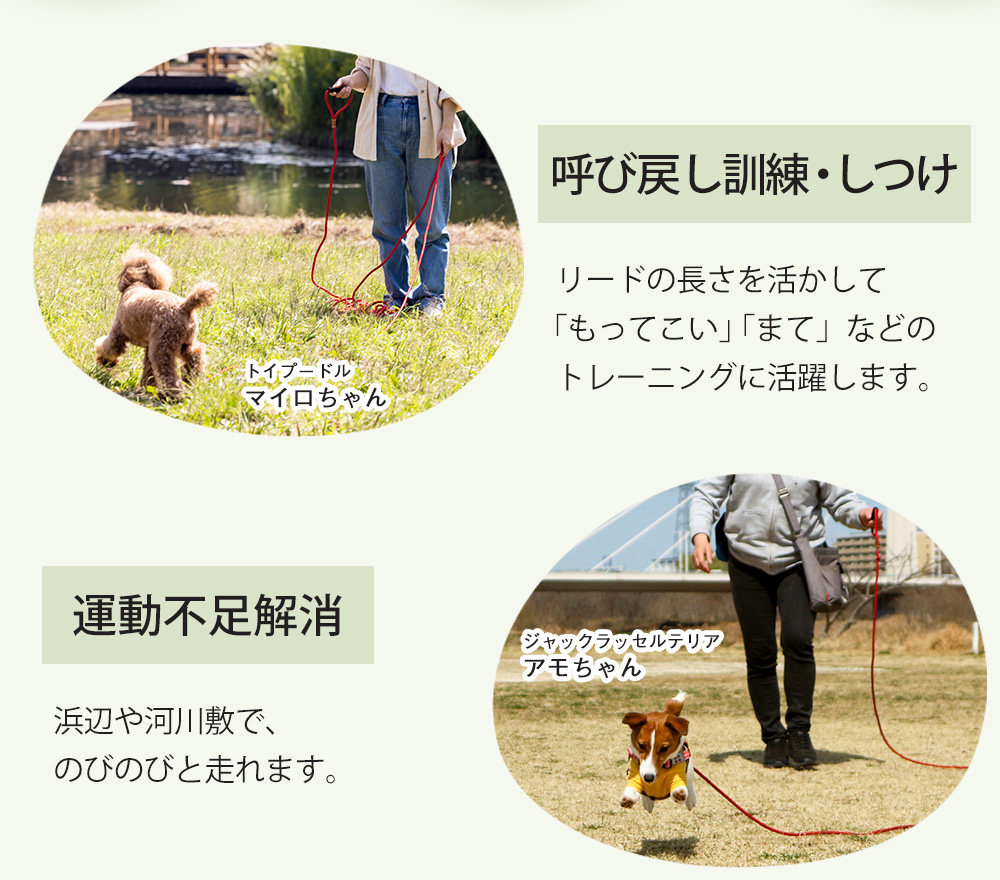 ロングリード【10m】