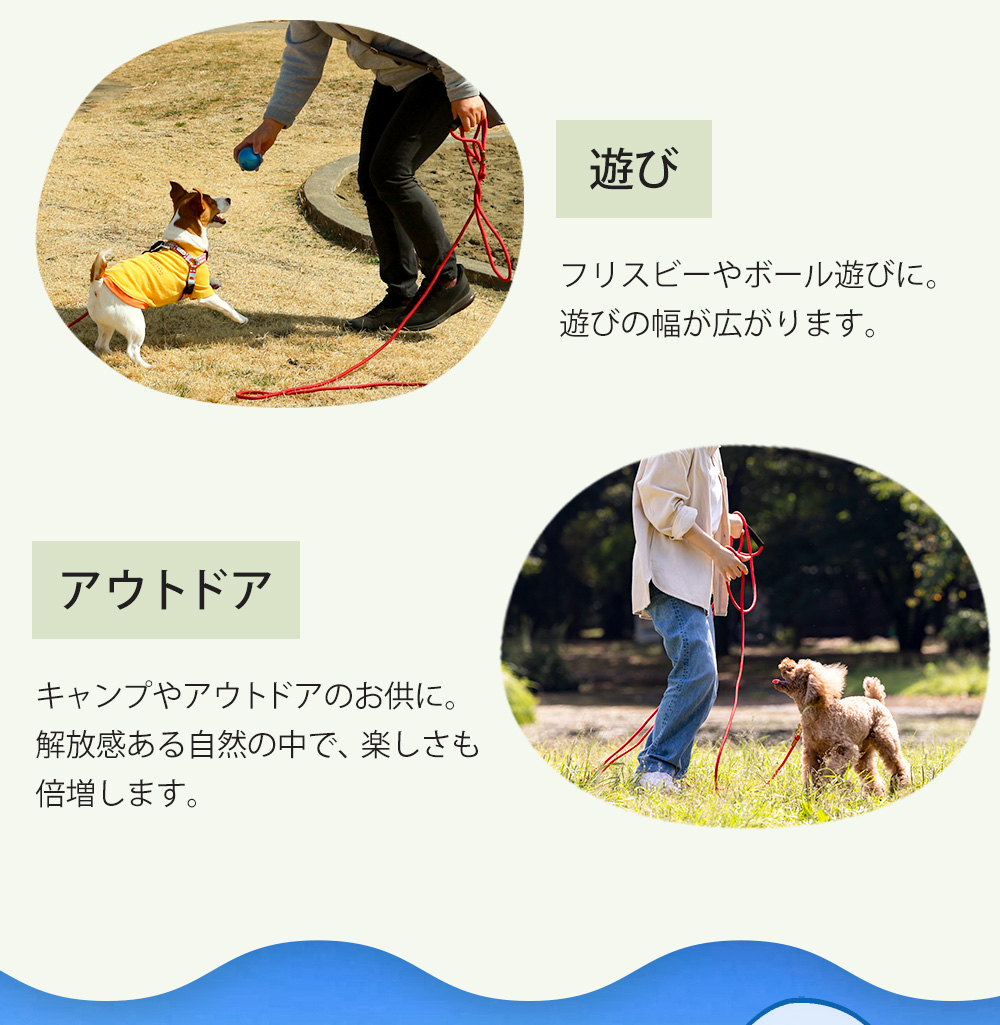 ロングリード【10m】