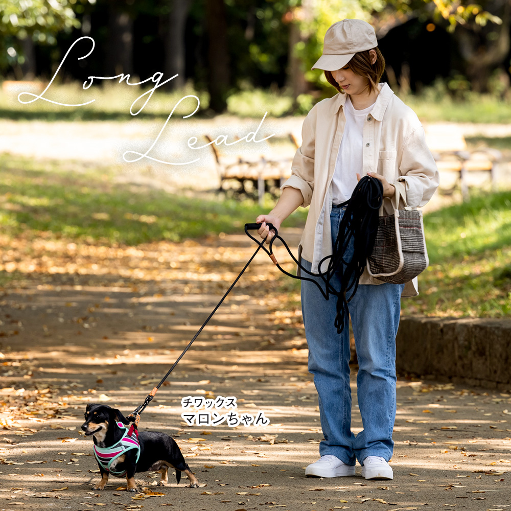 ロングリード【10m】