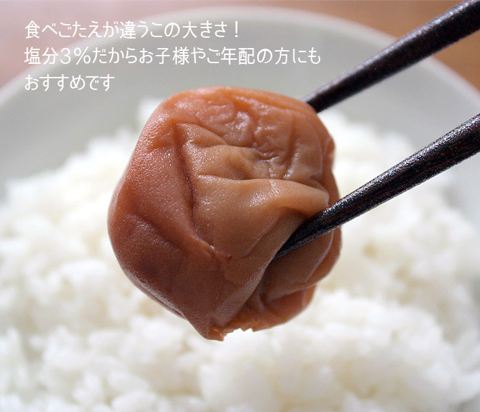 【お試し400g】減塩 紀州産 南高梅 つぶれ梅 はちみつ