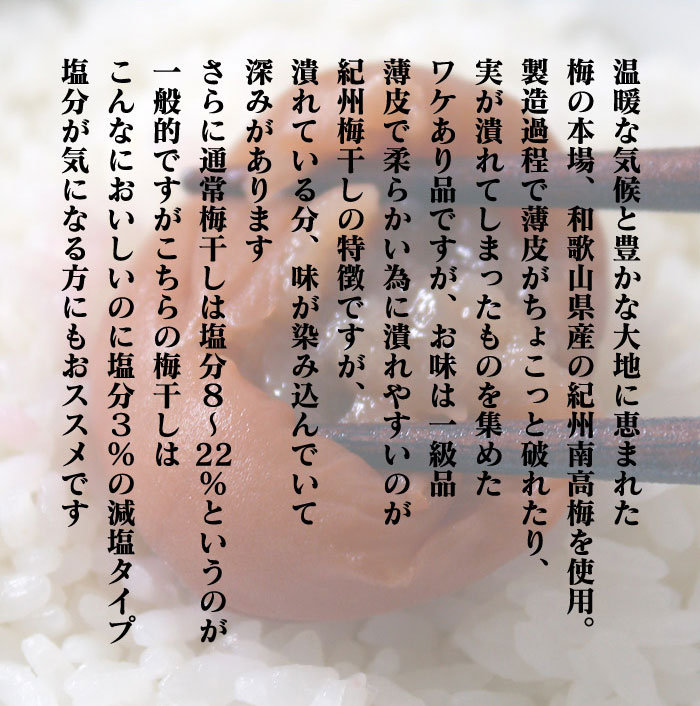 【お試し400g】減塩 紀州産 南高梅 つぶれ梅 はちみつ