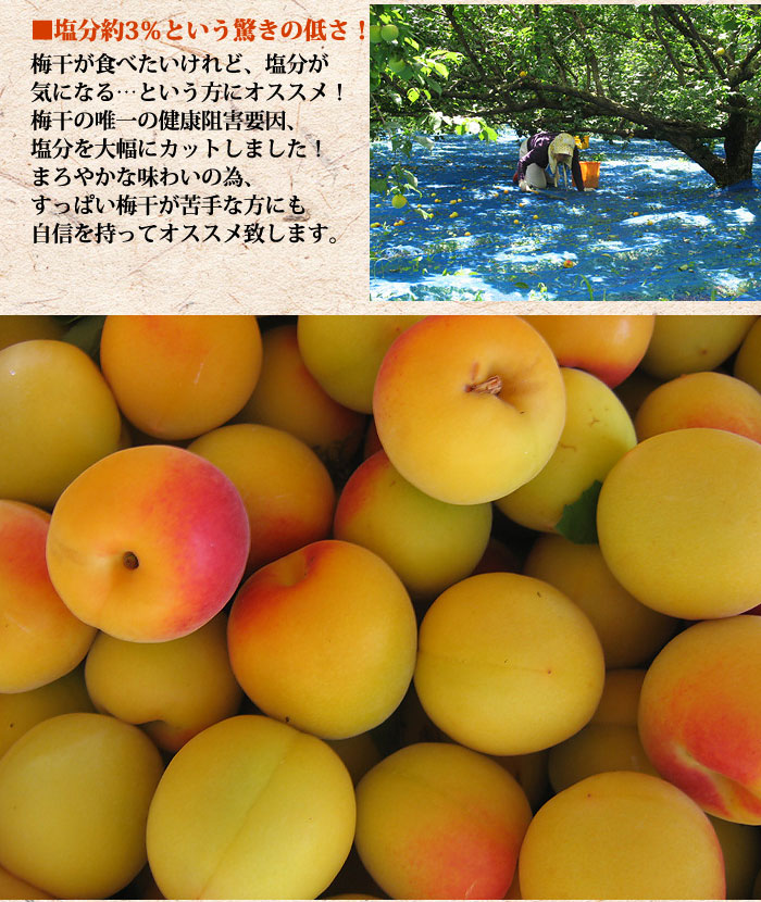 【お試し400g】減塩 紀州産 南高梅 つぶれ梅 はちみつ