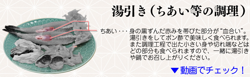 本場下関　「南風泊（はえどまり）」ふく包丁セット