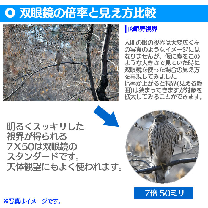 スタンダード&コンパクト双眼鏡 2点セット