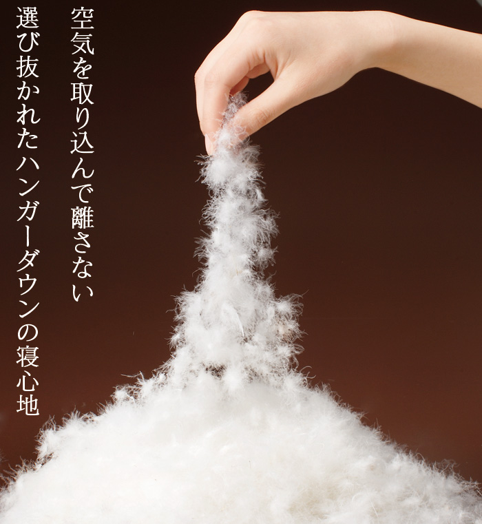 スリーピングフィット(羽毛掛布団)【新聞掲載】