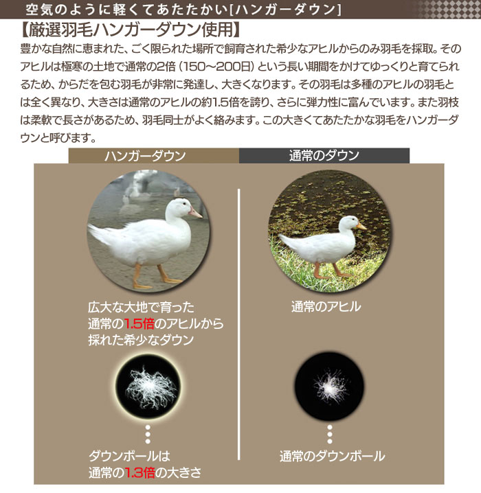 スリーピングフィット(羽毛掛布団)【新聞掲載】