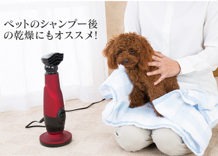 低温 ハンズフリー ドライヤー EI-50039