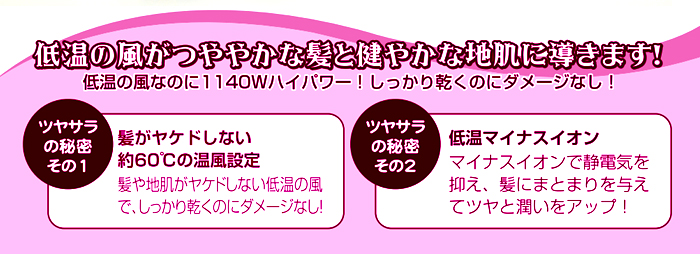 低温 ハンズフリー ドライヤー EI-50039