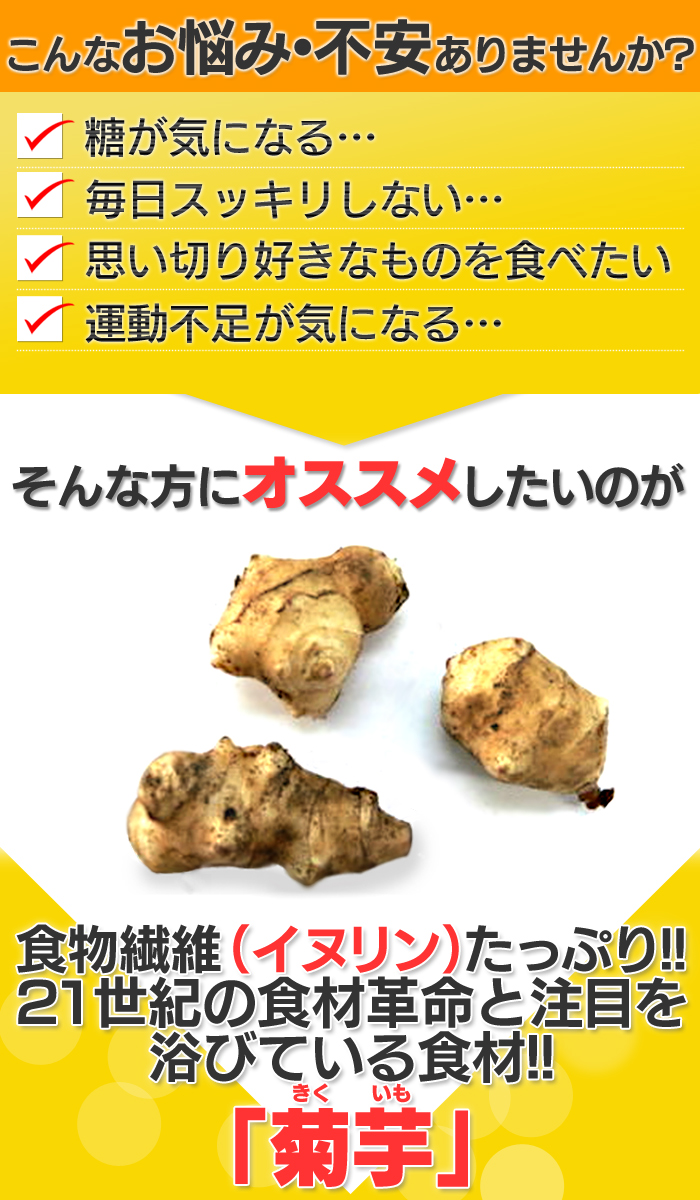 サンテライズ 菊芋 サプリメント 90g (300mg×10粒×30包)