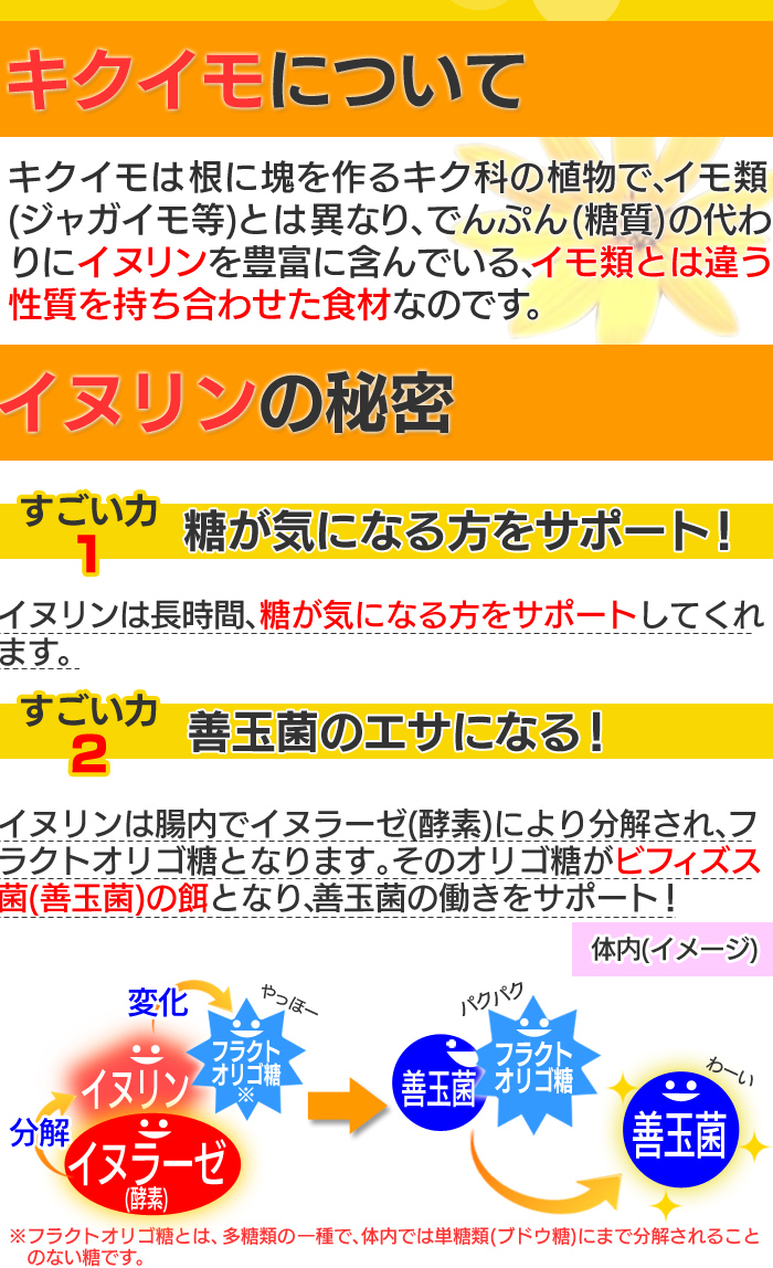 サンテライズ 菊芋 サプリメント 90g (300mg×10粒×30包)