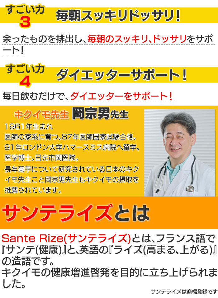 サンテライズ 菊芋 サプリメント 90g (300mg×10粒×30包)