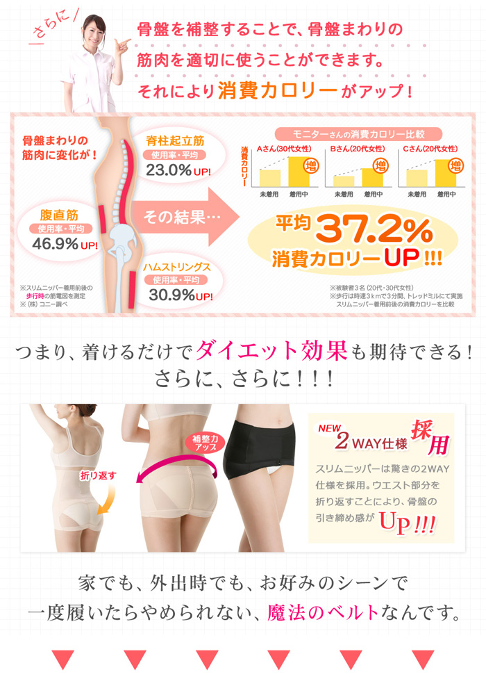 芦屋美整体 骨盤 スッキリ ベルト スリム ニッパー 1枚