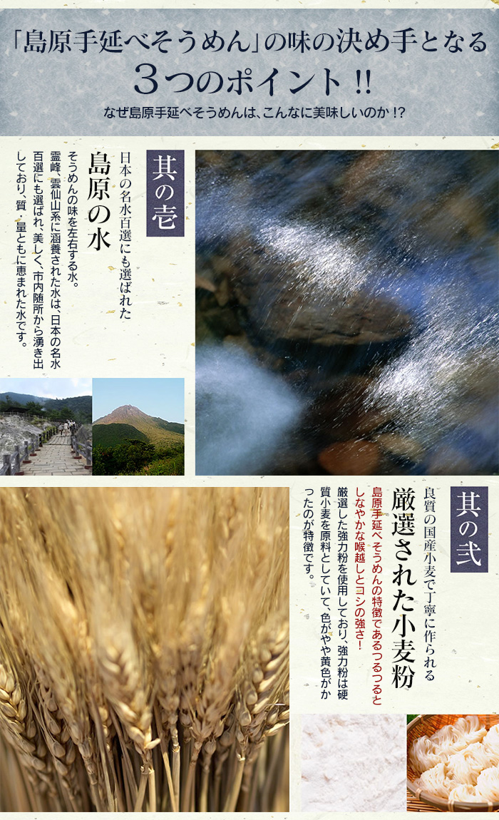 島原手延べそうめん SG-100 【新聞掲載】